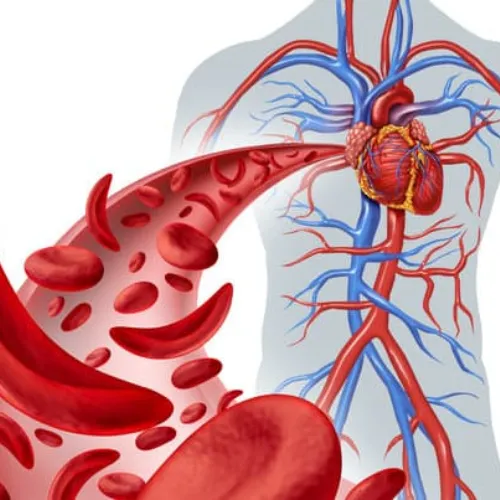 Treatment of anemia with Ayurvedic herbs