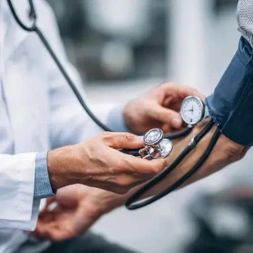 Herbal blood pressure support